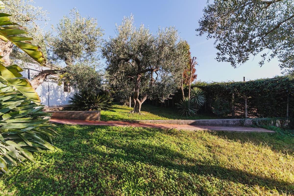 Countryhouse Gli Ulivi Modugno Extérieur photo